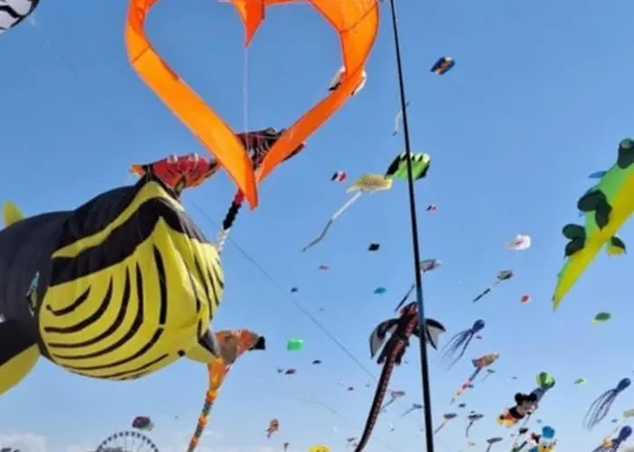 Berckarosse بيت للعطل *